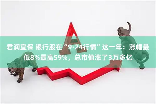 君润宜保 银行股在“9·24行情”这一年:涨幅最低8%最高59%,总市值涨了3万多亿