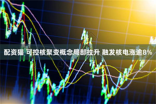 配资猫 可控核聚变概念局部拉升 融发核电涨逾8%