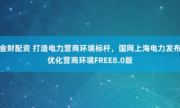 金财配资 打造电力营商环境标杆，国网上海电力发布优化营商环境FREE8.0版