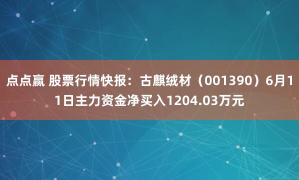 点点赢 股票行情快报：古麒绒材（001390）6月11日主力资金净买入1204.03万元