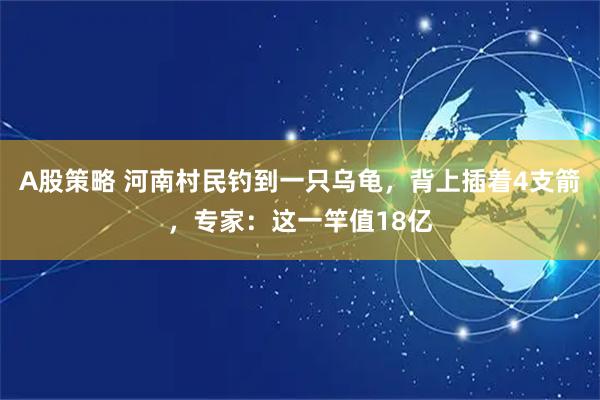 A股策略 河南村民钓到一只乌龟,背上插着4支箭,专家:这一竿值18亿