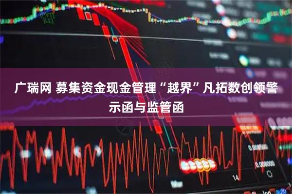 广瑞网 募集资金现金管理“越界”凡拓数创领警示函与监管函